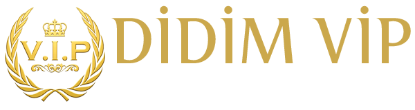 Didim vip transfer